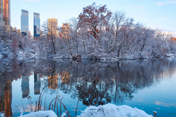 Central Park. New York. USA in winter