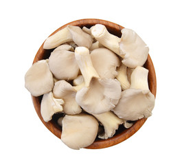 Oyster mushroom in wooden bowl on white background 