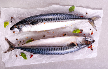 Raw mackerel fish with spices