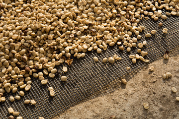 Drying coffee beans, Coffee beans drying in the sun.Coffee beans business