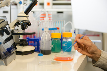 Microbiologist working in laboratory with Petri dishes and pipette