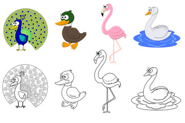 Coloring page set with different birds