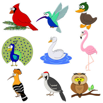 Set of different cartoon birds