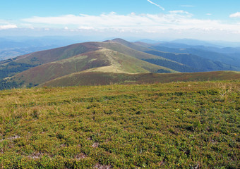 Fototapeta premium Ridge Borzhava in the Carpathians