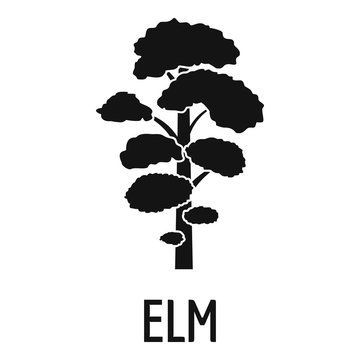 Elm tree icon. Simple illustration of elm tree vector icon for web