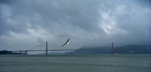 Golden Gate Bridge
