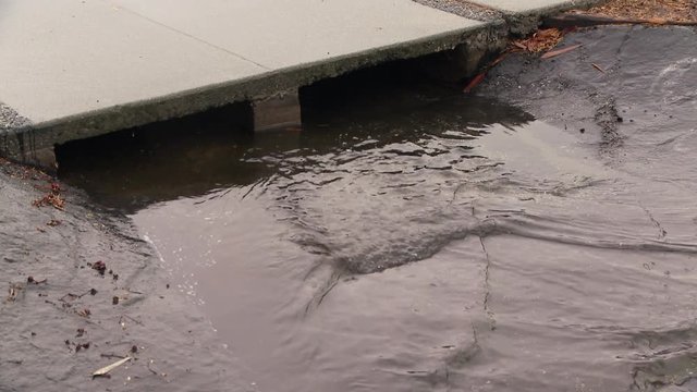 rainwater flowing into storm drain