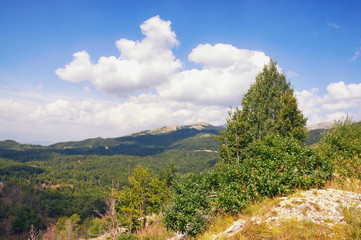 Fototapeta na wymiar Beautiful summer landscape in mountains. Balkans, Montenegro, Niksic region