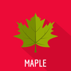 Maple leaf icon. Flat illustration of maple leaf vector icon for web
