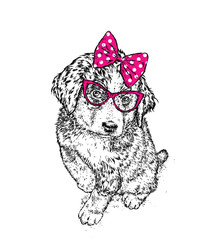 Cute dog with glasses and a bow. Vector illustration. Purebred puppy in clothes and accessories. Girl.