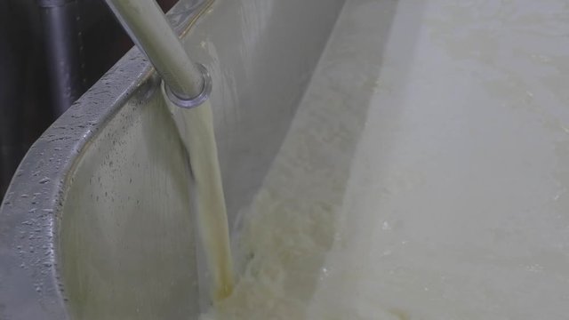Milk pouring into cheese making vat for processing