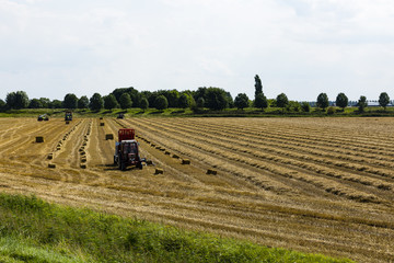 Hiking the GR5 trail in the Benelux
