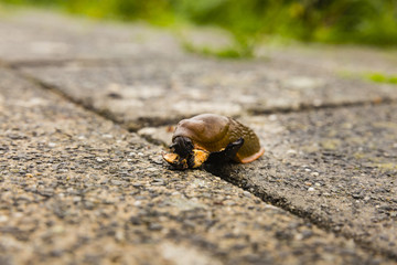 Hiking the GR5 trail in the Benelux