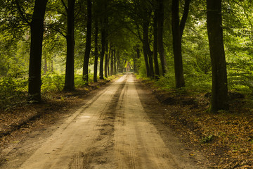 Hiking the GR5 trail in the Benelux
