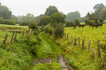 Fototapeta na wymiar Hiking the GR5 trail in the Benelux
