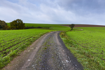 Hiking the GR5 trail in the Benelux