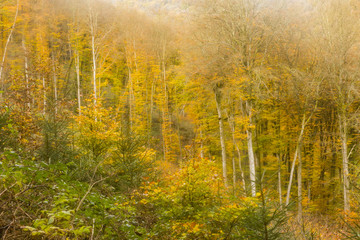 Hiking the GR5 trail in the Benelux