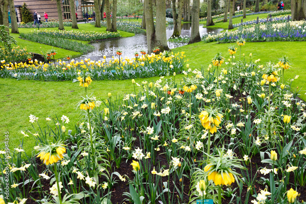 Poster Flowerbed with tulips and hyacinths