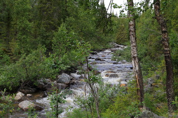 Fototapeta premium Small river crossing Kungsleden, north of Sweden