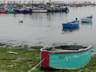 Fototapeta na wymiar Paracas au Pérou