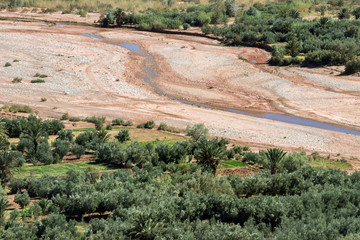 Fototapeta na wymiar landscape of green plants at Ait-Ben-Haddou village 