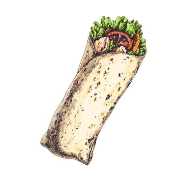 Tasty wrap with tomatoes, pieces of pepper, meat and lettuce leaves isolated on white. Hand drawn vintage illustration with traditional mexican or arabic food. Engraved style.
