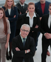 Fototapeta premium Concept of success in business and professional business team
