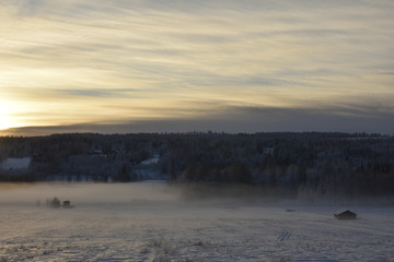 Meadow a midwinter day