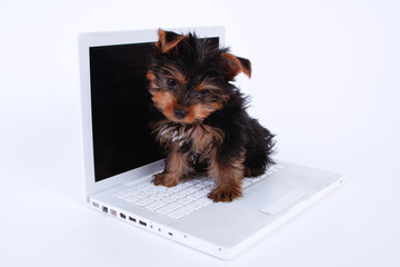 confused by technology, 