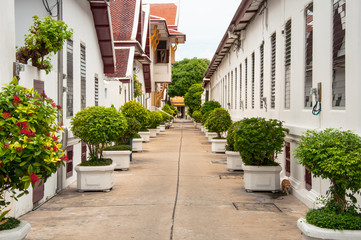 Fototapeta na wymiar Narrow street with small green bushes in the downtown on Bangkok