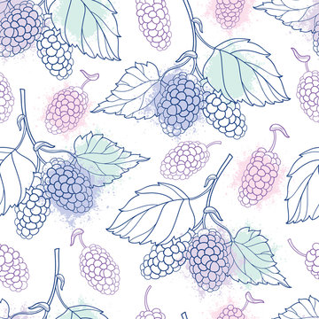 Vector seamless pattern with outline Mulberry or Morus bunch with berry and leaf in pastel color on the white background. Floral pattern with contour Mulberry fruit for summer design.