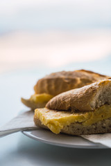 Plate with tasty sandwich