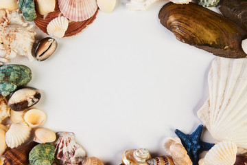 Fototapeta premium Sea shell frame