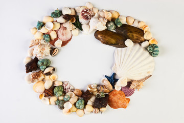 Sea shell frame