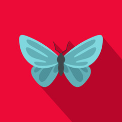 Unusual butterfly icon. Flat illustration of unusual butterfly vector icon for web