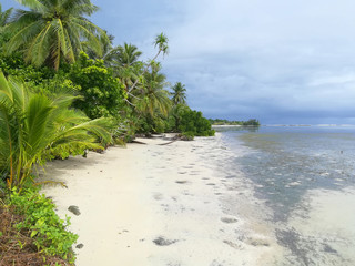 Kosrae - an island in Federated States of Micronesia.   © robnaw