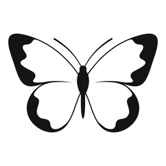 Small butterfly icon. Simple illustration of small butterfly vector icon for web