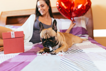 Attractive young woman laying on bed with her french bulldog