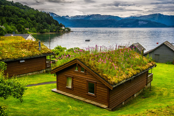 Traditional norwegian wooden house. Typical Norwegian house. Typical norwegian house with grass on the roof. Norwey - obrazy, fototapety, plakaty