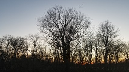 Winter Sunset