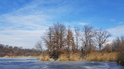 Obraz na płótnie Canvas Winter Lakeside
