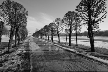 Rows of trees alongside the icy road, park Kuskovo, Moscow