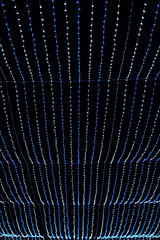 Beautiful Christmas garland.