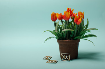 February, the day of the Sainted Valentine