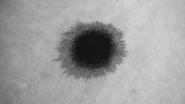 Black watercolor ink drops on white textured paper and slowly spread out in different directions. Use in compositing. Macro. Closeup. Slow motion, high speed camera, 240fps, 250fps
