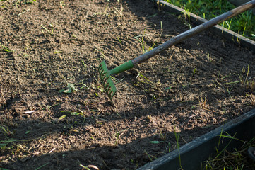 Fototapeta premium A man works with rakes on the soil.