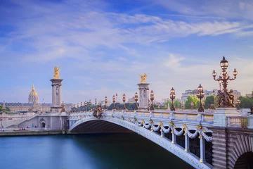 Photo sur Plexiglas Pont Alexandre III Le Grand Palais et le Pont Alexandre III