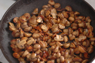 Chopped mushrooms are fried in a skillet.
