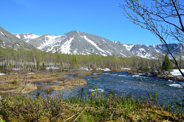 Obraz premium Река Кунийок в Хибинах летом, Кольский полуостров, Россия