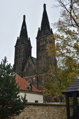 Fototapeta na wymiar The Basilica of Saints Peter and Paul in Vysehrad, Prague.
